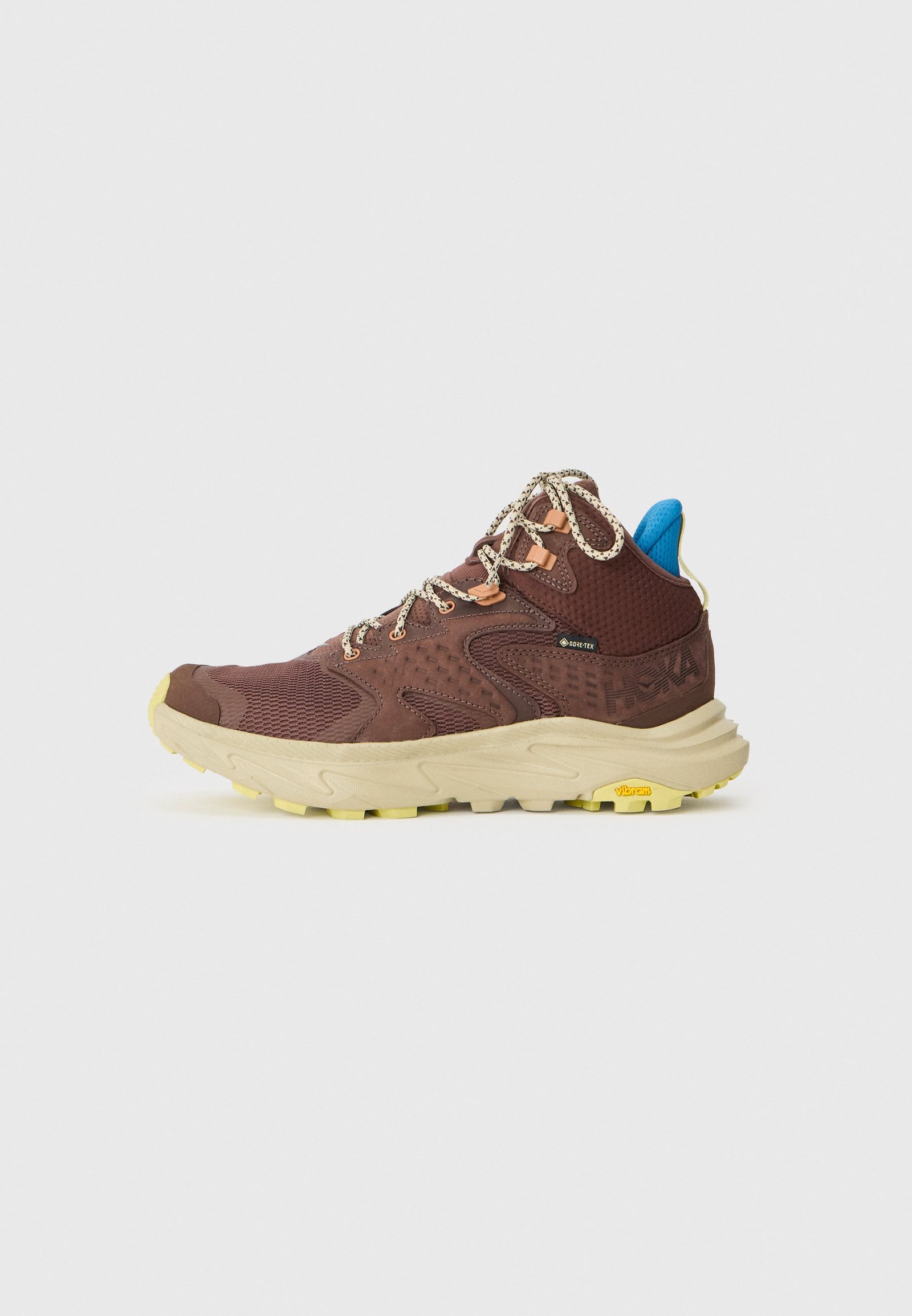 ANACAPA 2 GTX - Chaussures de marche - walnut/oyster mushroom