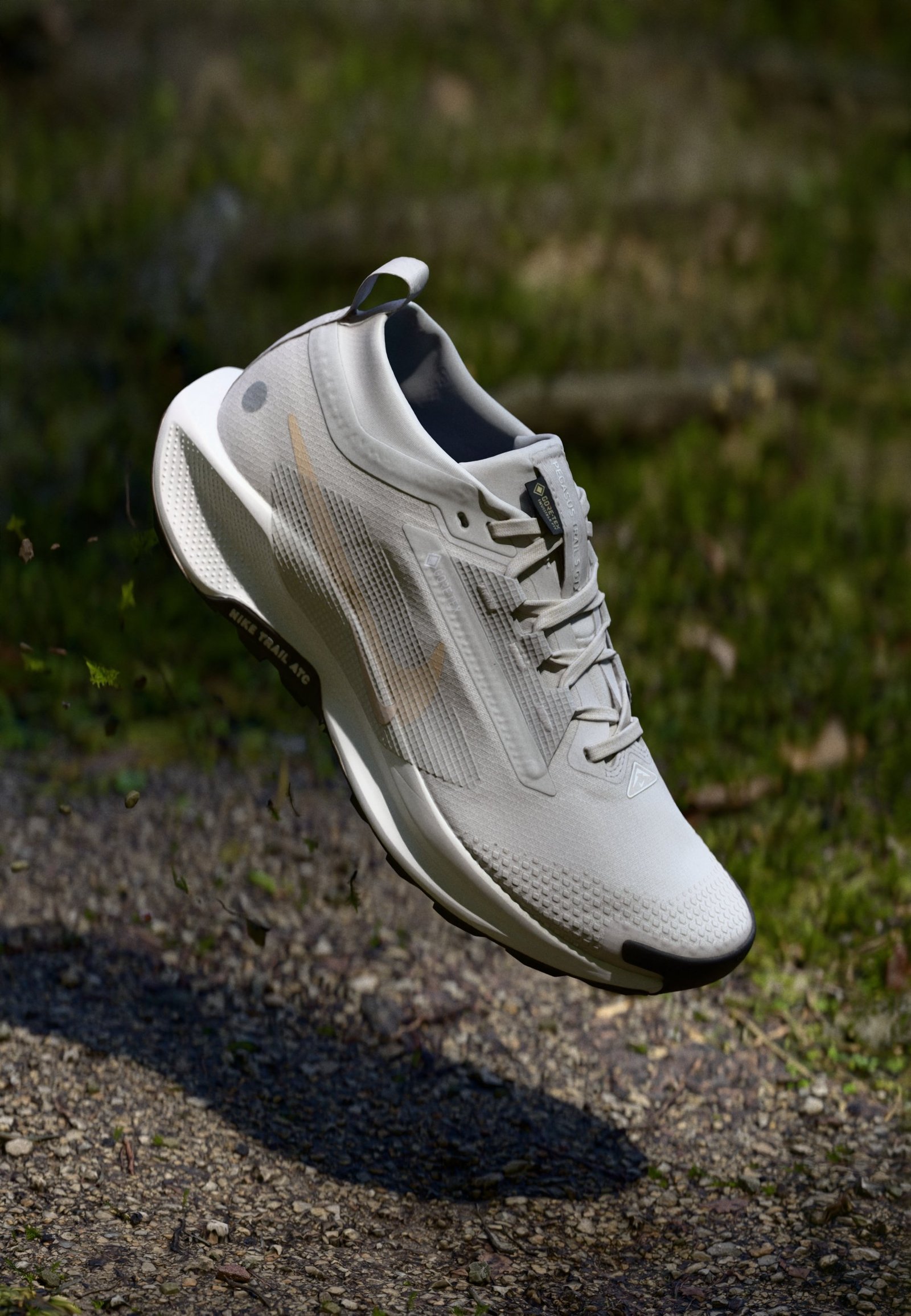 PEGASUS TRAIL 5 - Chaussures de running - vast grey/sanddrift/summit white/black