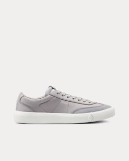 Baskets basses Dior B101 en cuir de veau lisse et nubuck gris