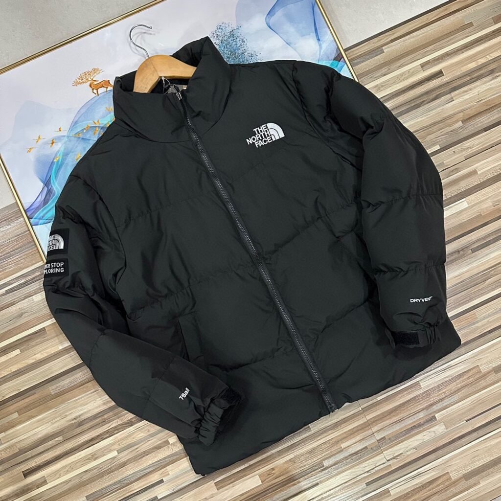 Veste doudoune North Face chaude et légère pour l'hiver