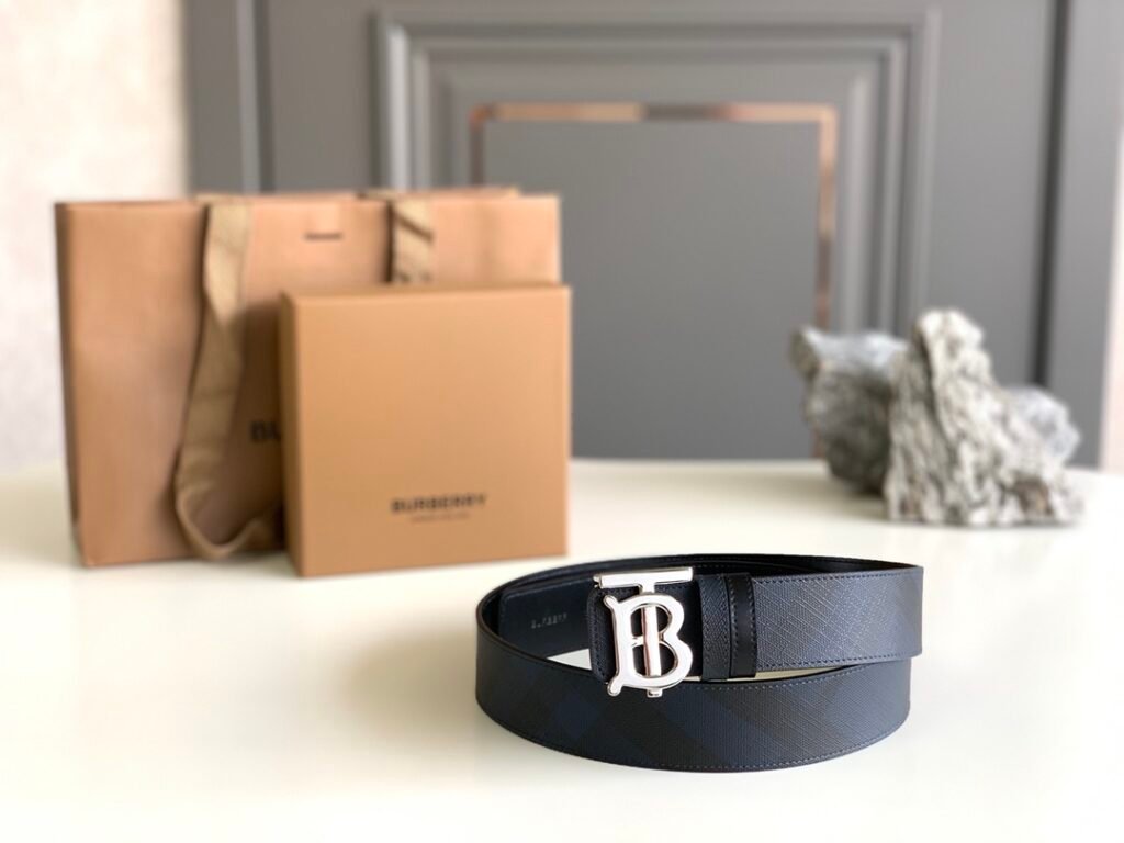 Ceinture Burberry noire avec détails argent et doré - Élégance durable