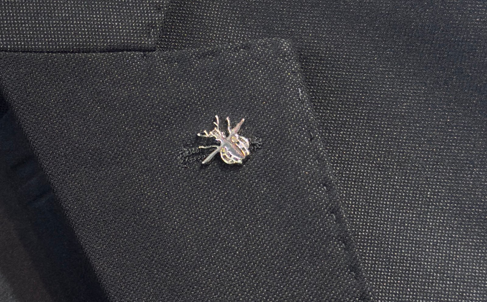 Ensemble Costume Dior Élégance Classique en Beige ou Noir Taille 48-56 – Image 22