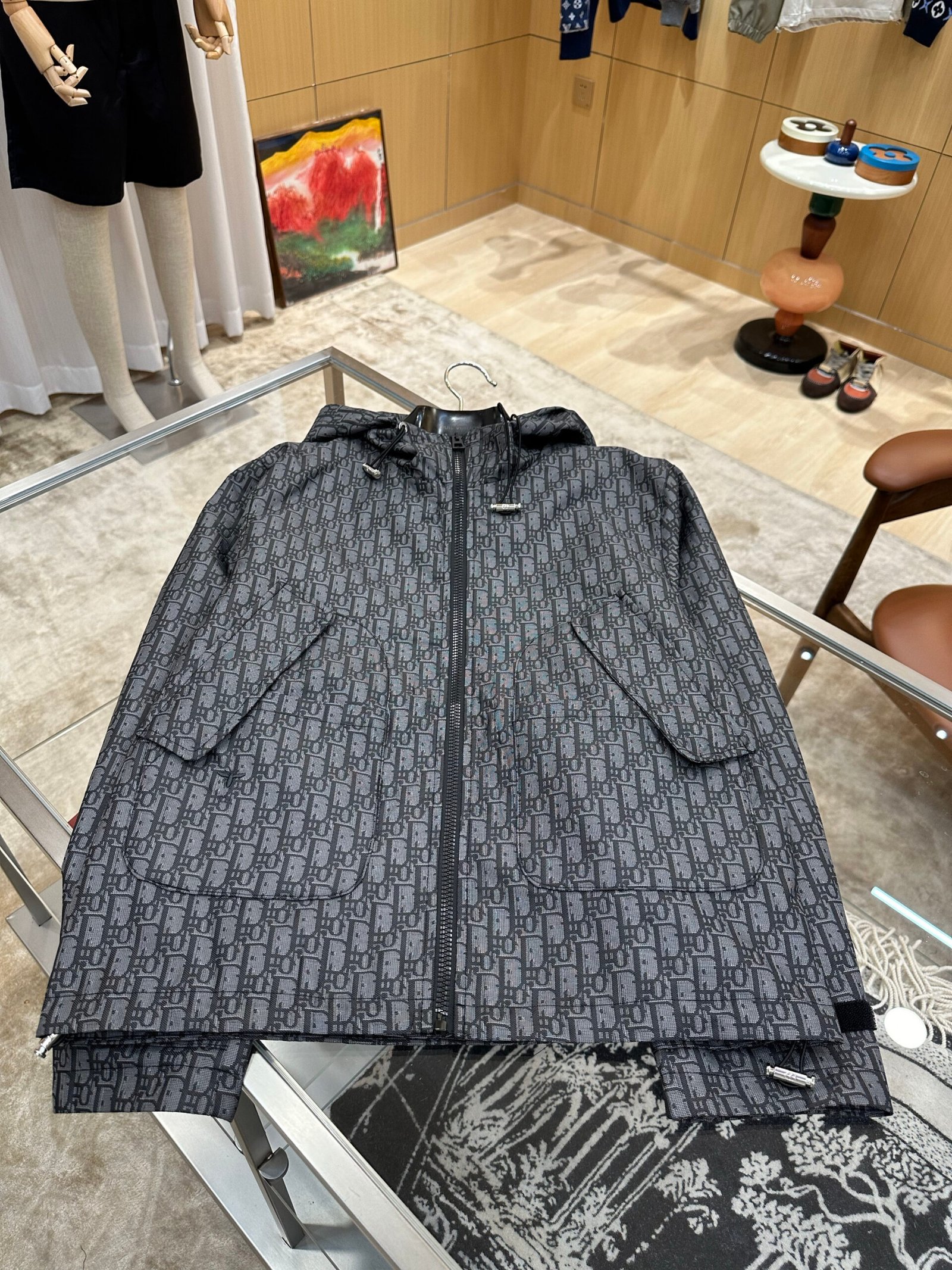 Dior Coupe-vent Oblique noir à capuche en toile technique