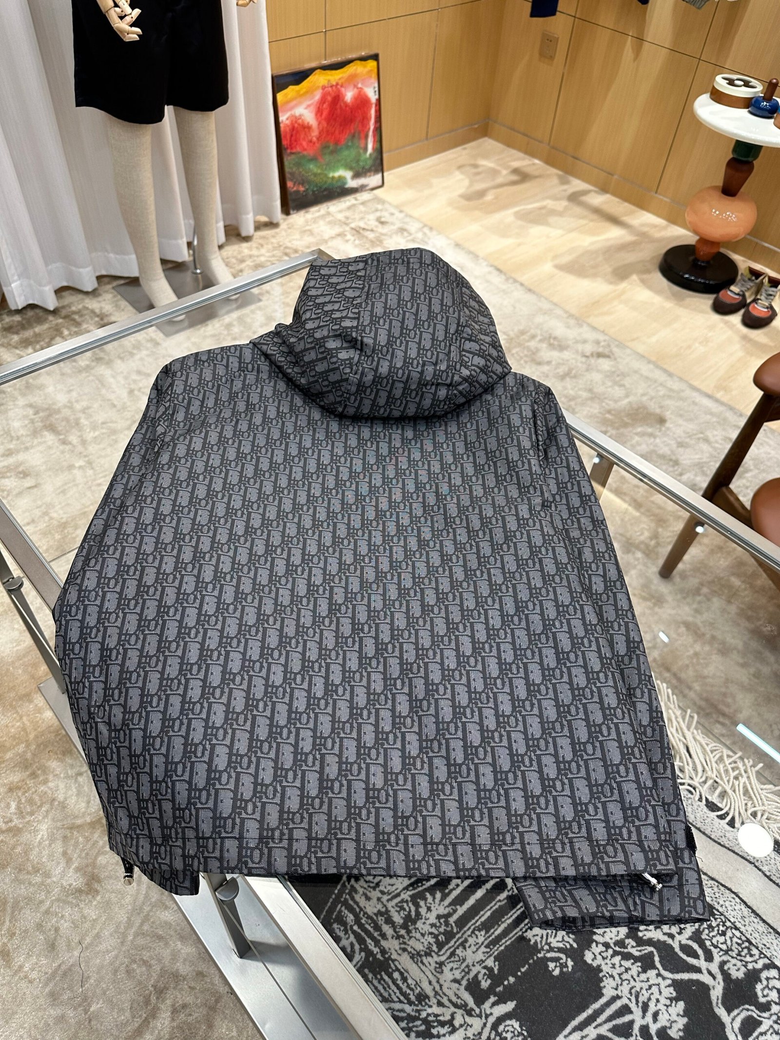 Dior Coupe-vent Oblique noir à capuche en toile technique