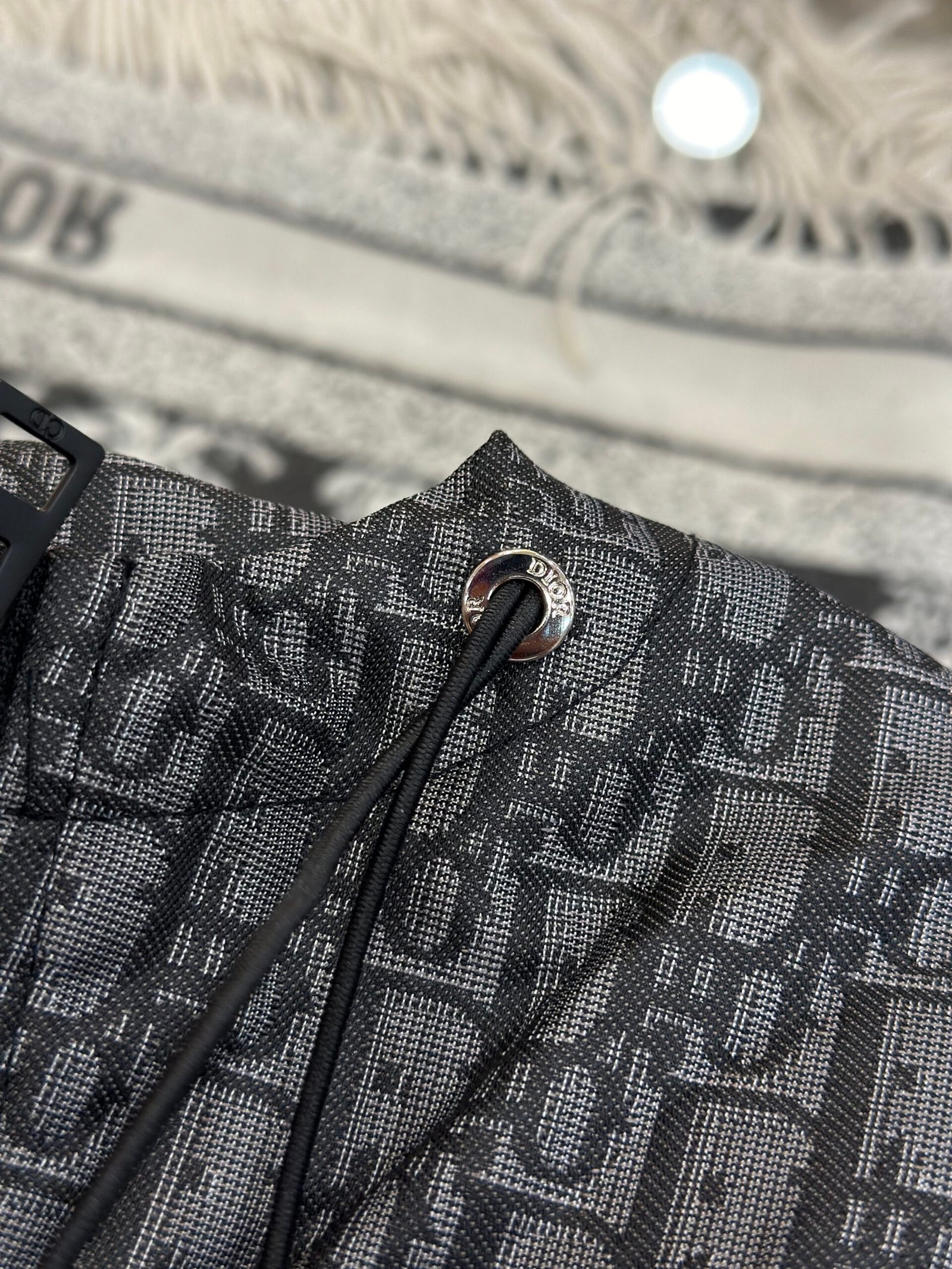 Dior Coupe-vent Oblique noir à capuche en toile technique