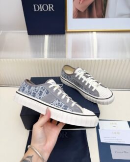 Dior B23 Baskets basses Oblique gris et blanc