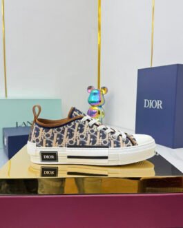 Dior Walk'n'Dior Oblique