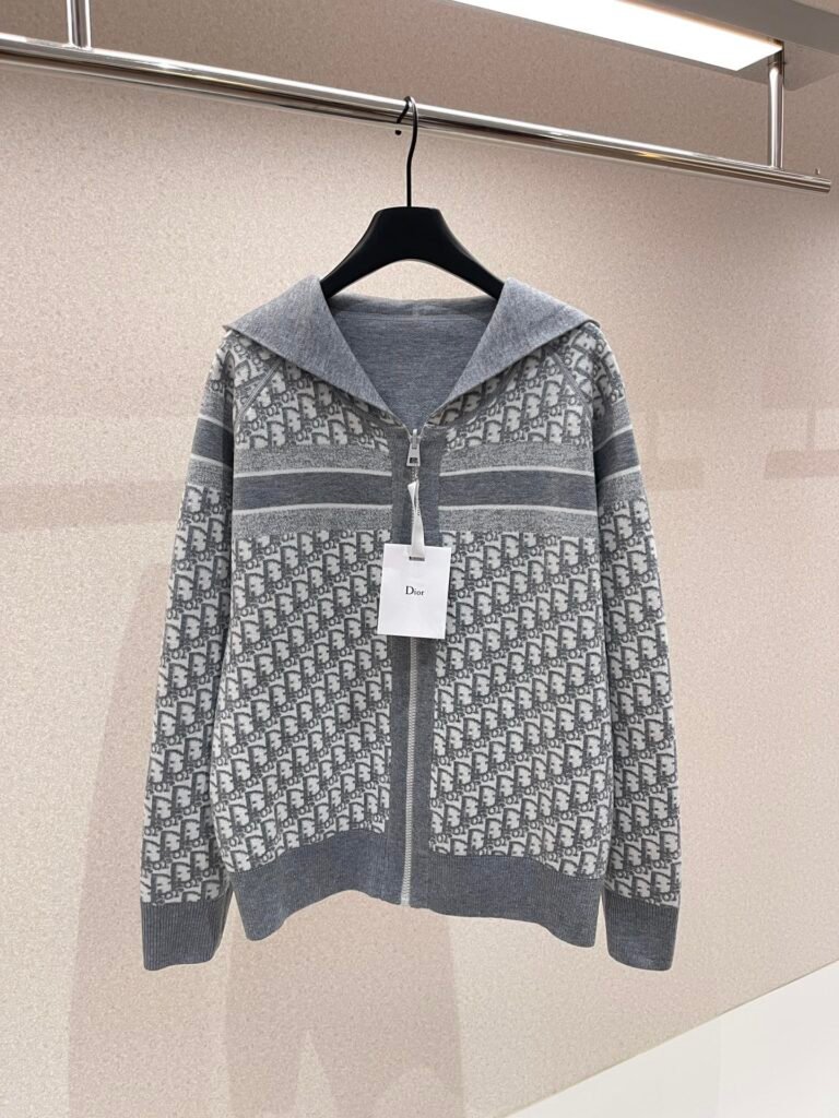 Dior Oblique gilet zippé à capuche