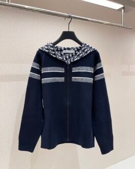 Dior Oblique sweat à capuche contrasté