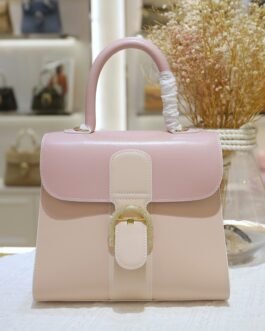 Delvaux Brillant Mini – Rose poudré
