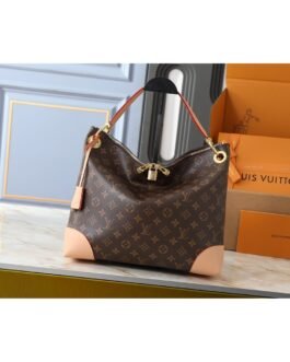 Louis Vuitton CarryAll Monogram – Marron et Beige