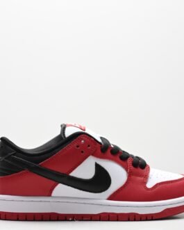 Nike Dunk Low Retro