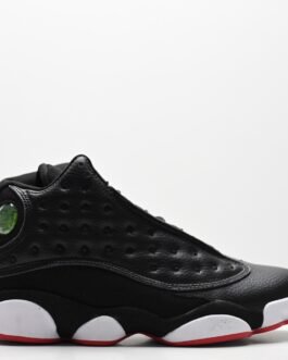 Air Jordan 13