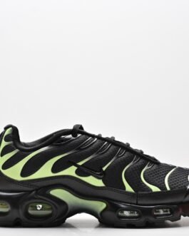 Nike Air Max Plus TN