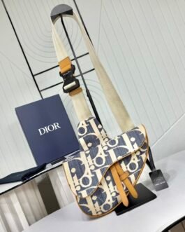 Dior Vertical Messenger Oblique – Bleu et beige