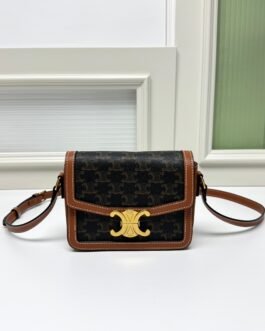 CELINE Classique Triomphe Beige