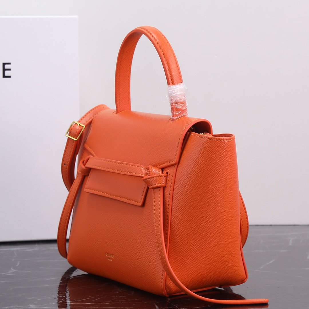 CELINE Luggage Rouge