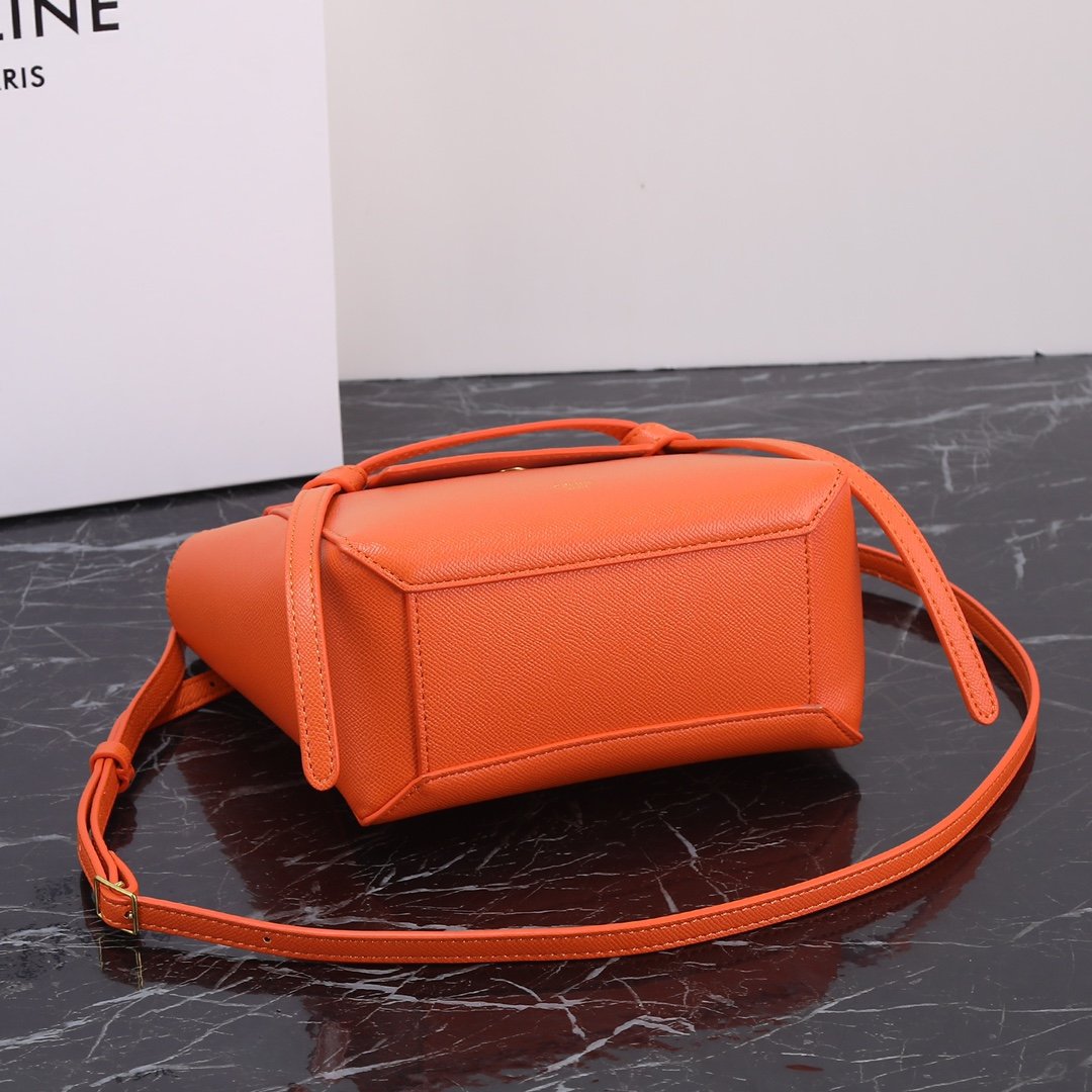 CELINE Luggage Rouge