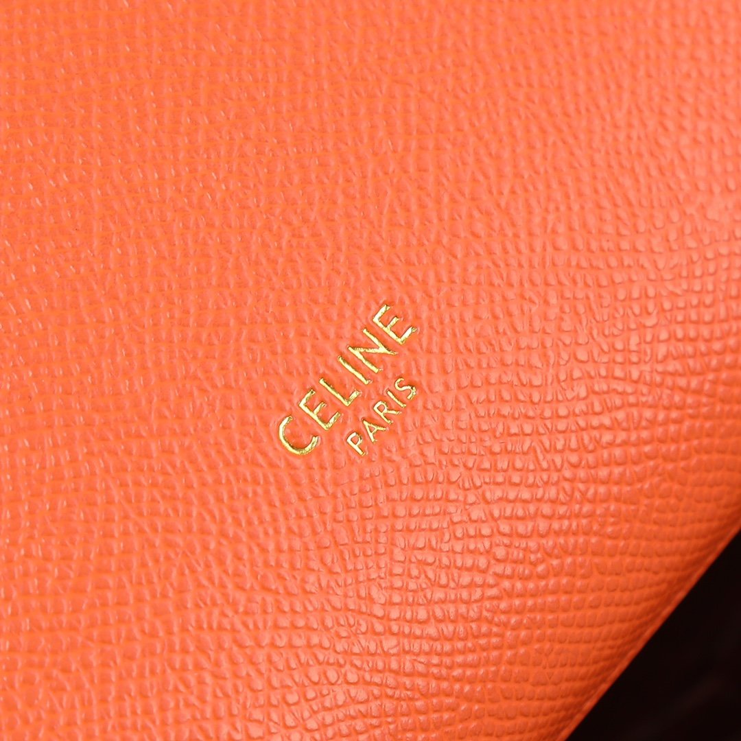 CELINE Luggage Rouge