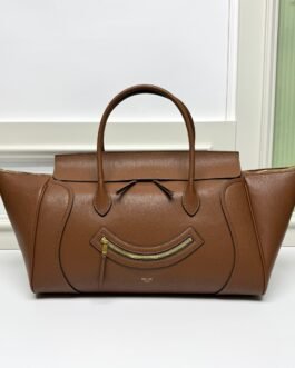 CELINE Mini Ava Triomphe Marron